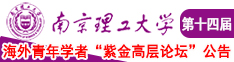 啊轻点操网站南京理工大学第十四届海外青年学者紫金论坛诚邀海内外英才！